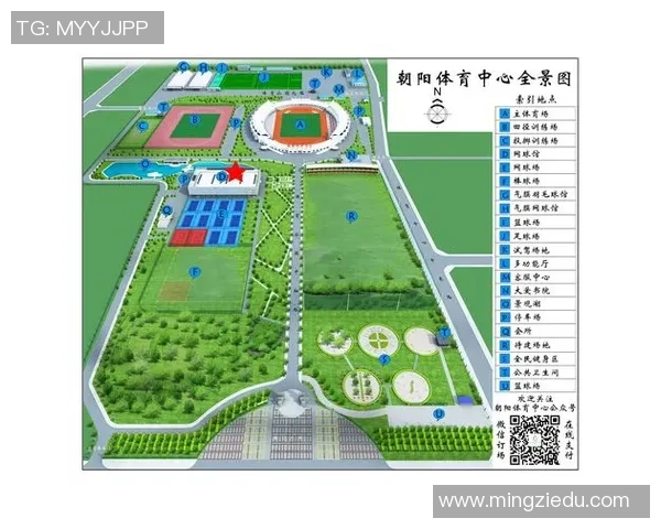 南京羽毛球队挑战赛战术分析与表现评估全景解读