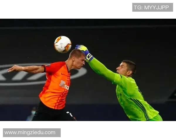 北京羽毛球队边路渗透革新探讨与战术分析的深度研究