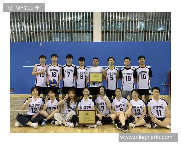 团结奋进：杭州排球队如何通过团队协作提升竞技水平